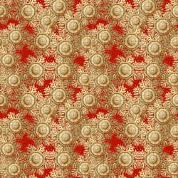 Accueil 55 GORGONE 4